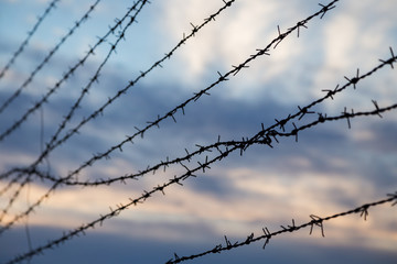Silhouette of barbed wire fence against blurry cloudy sky in the evening. Focused on the foreground.