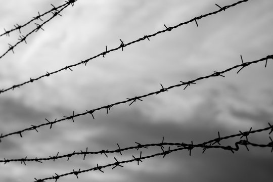 Silhouette of barbed wire fence against blurry cloudy sky in the evening in black and white. Focused on the foreground.