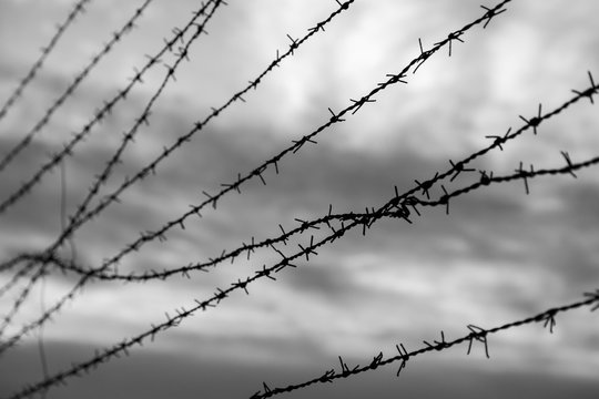 Silhouette of barbed wire fence against blurry cloudy sky in the evening in black and white. Focused on the foreground.