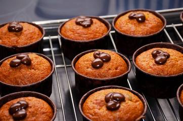 Pumpkin Muffins with Chocolate on the Rack for Cooling
