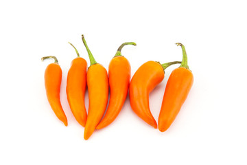 Orange Chili Peppers isolated on white background.