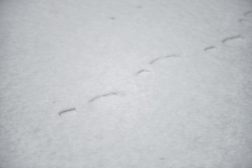 Foot print on the snow
