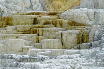 Naklejka premium View of the Palette Spring in Mammoth Hot Springs, Yellowstone National Park