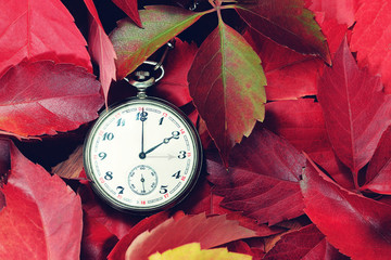 Fall back. Daylight Saving Time 