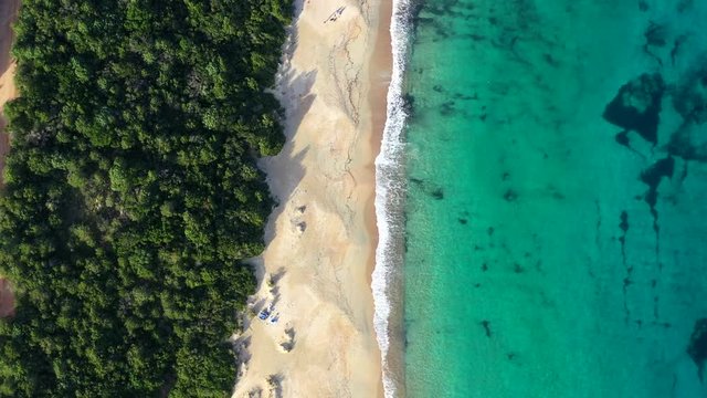 Aerial view of a green coast with a beutiful white beach bathed by a turquoise and transparent sea. Sardinia, Italy