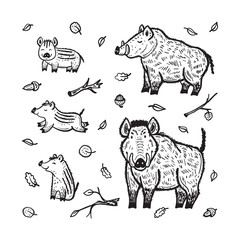 Boars Vector Set. Hand Drawn Doodle Wild Pig and Wild Boar Piglet. Cartoon Cute Animals Collection. Chinese Zodiac Animal. Symbol of Lunar Chinese New Year 2019