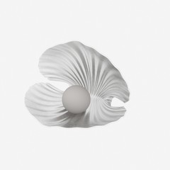 3d render of seashell