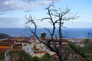 Orotava - widok na miasto z oceanem w tle © juanitach