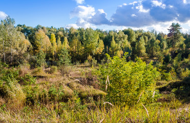 Obraz premium career landscape in autumn