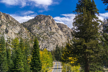 Driving through the Sierra mountains on a sunny day, California