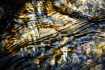 detail crystal clear water in the river