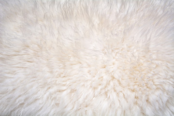 Texture of natural sheep wool. White soft warm background.