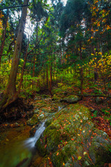 Waterfall among many foliage, In the fall leaves Leaf color change In Yamagata, Japan
