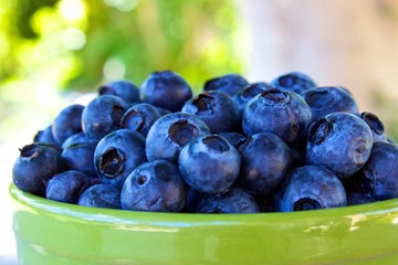 Fresh Blueberries in a Green Bowl
