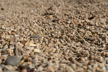 walkway of pebbles