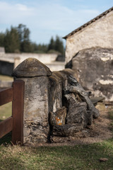 Stone Wall, Norfolk Island