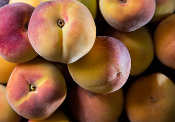 Harvest concept of ripe peaches