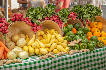 Beautiful display of radishes, yellow squash, onions, ginger and a veritiy of colored peppers.