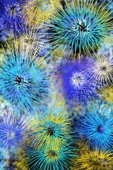 Fototapeta premium Fireworks, New Years Eve, celebration sky show bursts or creative color with space for text, unique vertical background