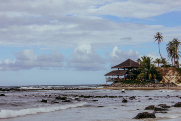 beach at brazil, rio grande do norte