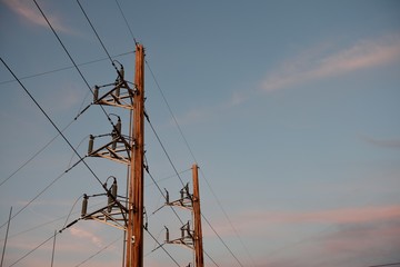 Electrical utility poles and high voltage power lines at sunset in Wyoming, USA