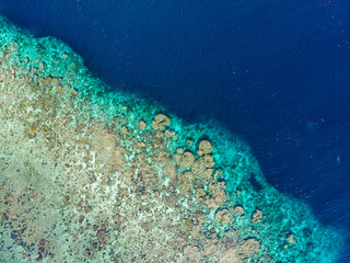 Aerial top down view coral reef tropical caribbean sea, turquoise blue water. Indonesia Moluccas archipelago, Banda Islands, Pulau Hatta. Top travel tourist destination, best diving snorkeling.