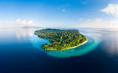 Fototapeten Aerial view tropical beach island reef caribbean sea. Indonesia Moluccas archipelago, Banda Islands, Pulau Ay. Top travel tourist destination, best diving snorkeling. © fabio lamanna