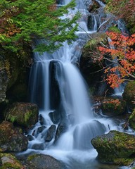 Fototapeta na wymiar 奥日光　竜頭の滝右側の秋景色