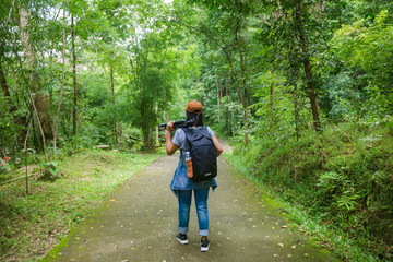 traveler in forest