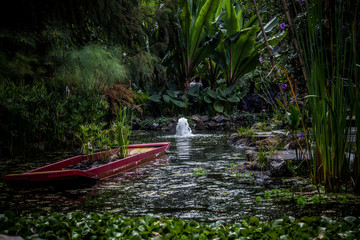 jardin botanico chapultepec