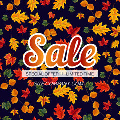Vector design of bright poster with promotion of seasonal sale on background with repeat pattern of autumnal leaves