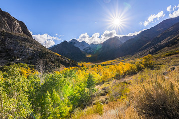 Colorful aspen trees covering the McGee Creek valley; Eastern Sierra mountains, California