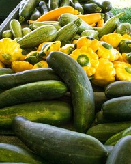 A variety of zucchini and squash on display for sale at a local farmer's market. Fresh local...