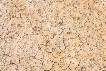 Brown dry soil or cracked ground texture background.