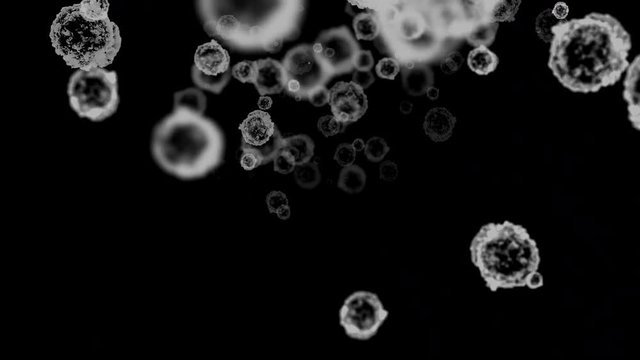 Dust, very small particles, floating in the air 