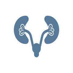 Kidneys Icon