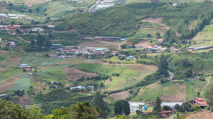 Nature highland green landscape view of Kundasang town, Sabah, Malaysia