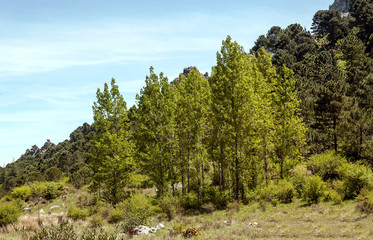 Mountains on a sunny day in the Sierra de Grazalema In Spain