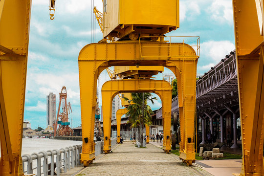 yellow cranes - Bel&eacute;m, Brazil