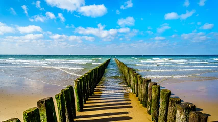 Foto op Aluminium Wooden Posts of a beach erosion protection system along the beach at the town of Vlissingen in Zeeland Province in the Netherlands © hpbfotos