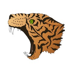 Vector angry leopard portrait. Tiger predator head colorful isolated