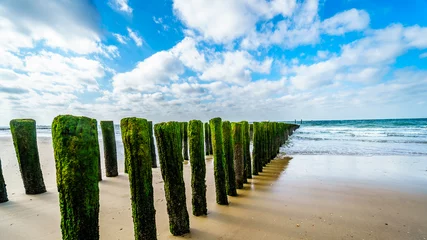 Poster Im Rahmen Wooden Posts of a beach erosion protection system along the beach at the town of Vlissingen in Zeeland Province in the Netherlands © hpbfotos