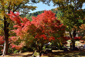 渓石園の紅葉