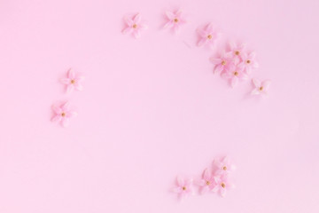 Obraz na płótnie Canvas Little pink flower pattern on pink background