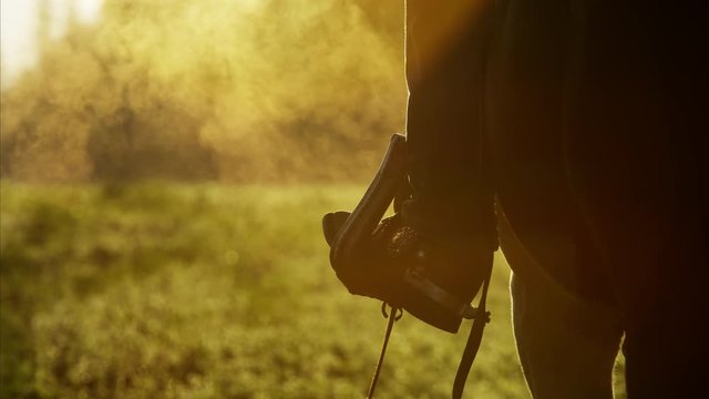 Cowboy Riders forest wilderness area Canada