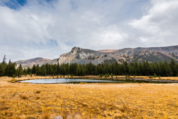 Alpine lake and meadow close to the Tioga Pass on a cloudy autumn day; mountain ridge visible in the background; Yosemite National Park, California