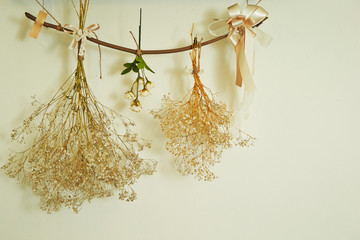 Hanged dried plants 