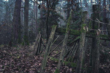 Broken wooden fence covered with green moss in the dark forest. Cold autumn afternoon. Ground with plenty of old leaves. Closeup