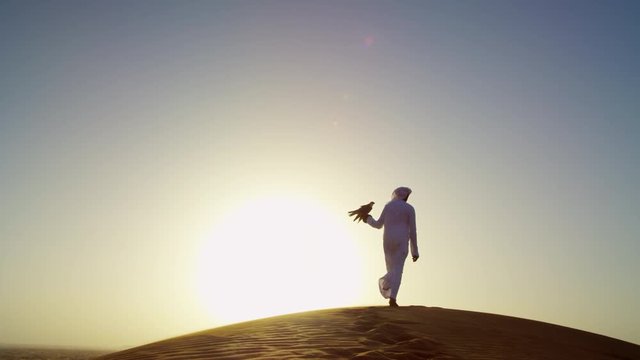 Tethered falcon on gloved wrist of male Arab owner in sunset silhouette