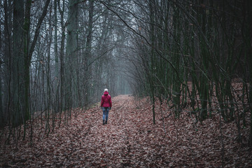Moody and foggy forest with young girl in red jacket walking the path covered with plenty of old leaves. Dark autumn afternoon.